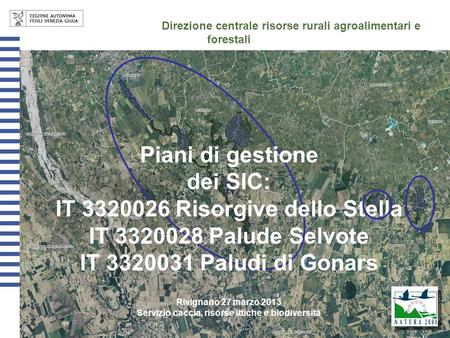 Direzione centrale risorse rurali agroalimentari e forestali Piani di gestione dei SIC: IT 3320026 Risorgive dello Stella IT 3320028 Palude Selvote.