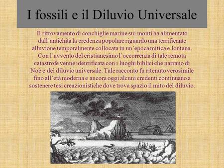 I fossili e il Diluvio Universale