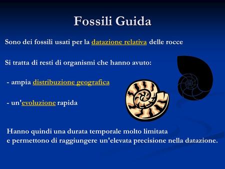 Fossili Guida Sono dei fossili usati per la datazione relativa delle rocce Si tratta di resti di organismi che hanno avuto: - ampia distribuzione geografica.