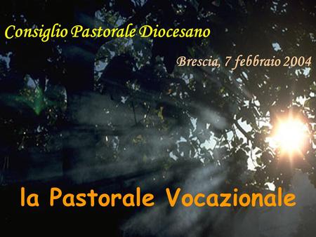 Consiglio Pastorale Diocesano Brescia, 7 febbraio 2004 la Pastorale Vocazionale.