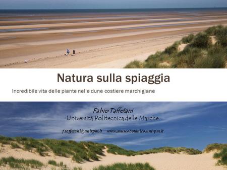Natura sulla spiaggia Incredibile vita delle piante nelle dune costiere marchigiane Fabio Taffetani Università Politecnica delle Marche