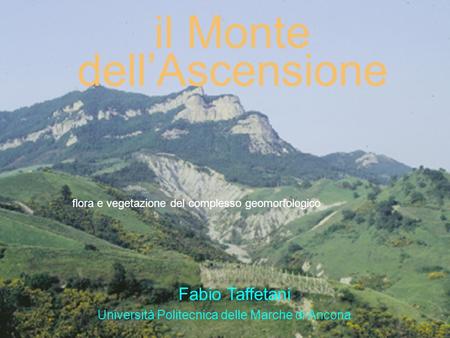 Il Monte dellAscensione flora e vegetazione del complesso geomorfologico Università Politecnica delle Marche di Ancona Fabio Taffetani.