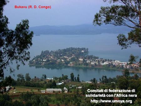 Comitati di federazione di solidarietà con l'Africa nera  Bukavu (R. D. Congo)