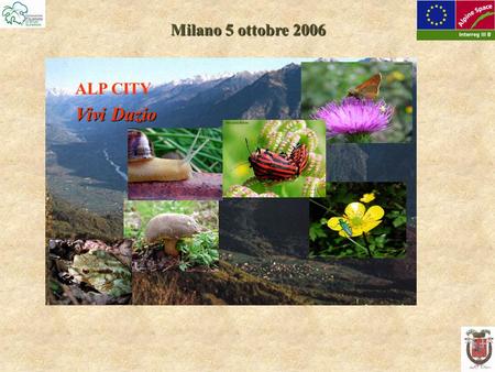 Milano 5 ottobre 2006 ALP CITY Vivi Dazio. DAZIO: quota 600 m slm 3.73 Kmq 362 abitanti 157 famiglie Molto forte fenomeno emigrazione.