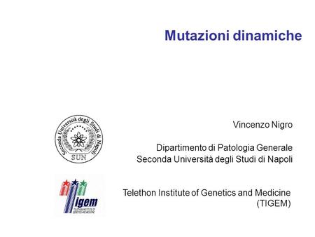 Mutazioni dinamiche Vincenzo Nigro Dipartimento di Patologia Generale