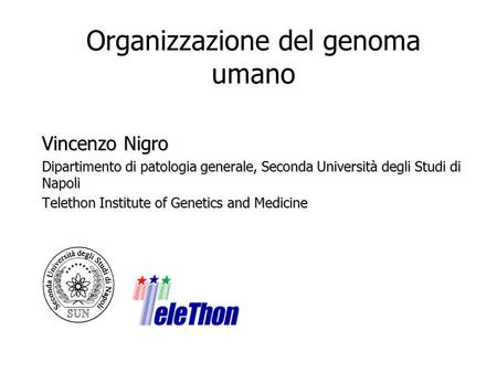 Organizzazione del genoma umano Vincenzo Nigro Dipartimento di patologia generale, Seconda Università degli Studi di Napoli Telethon Institute of Genetics.