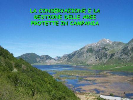 La conservazione e la gestione della aree protette in Campania