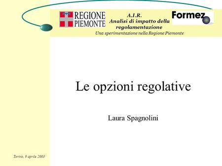 Le opzioni regolative Laura Spagnolini