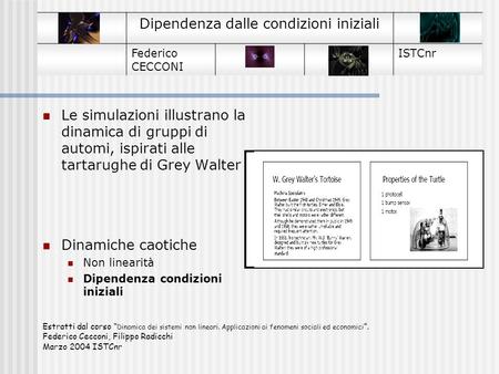Federico CECCONI ISTCnr Dipendenza dalle condizioni iniziali Le simulazioni illustrano la dinamica di gruppi di automi, ispirati alle tartarughe di Grey.