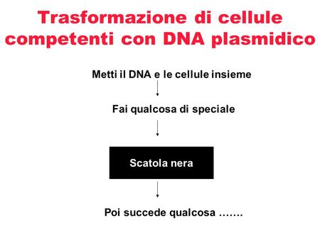Trasformazione di cellule competenti con DNA plasmidico