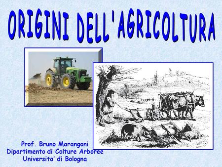 ORIGINI DELL'AGRICOLTURA