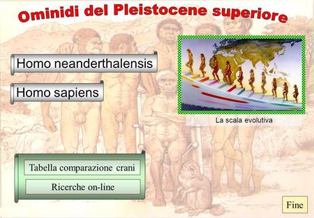 Ominidi del Pleistocene superiore