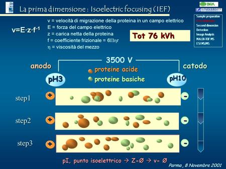 La prima dimensione : Isoelectric focusing (IEF)