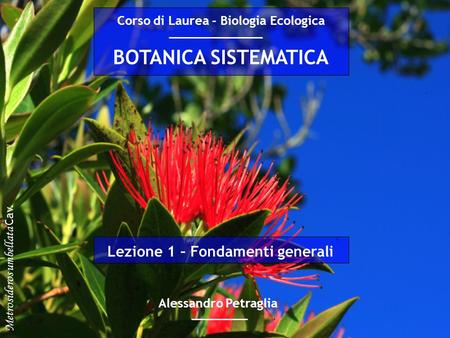 Corso di Laurea - Biologia Ecologica Lezione 1 – Fondamenti generali