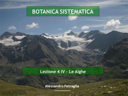 BOTANICA SISTEMATICA Lezione 4 IV – Le Alghe Alessandro Petraglia.