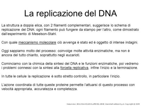 Watson et al., BIOLOGIA MOLECOLARE DEL GENE, Zanichelli editore S.p.A. Copyright © 2005 La replicazione del DNA La struttura a doppia elica, con 2 filamenti.