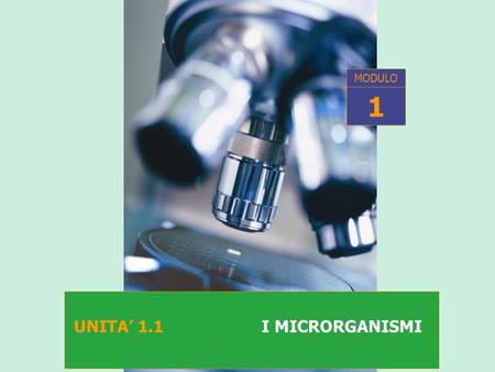 MODULO 1 UNITA’ 1.1 I MICRORGANISMI.