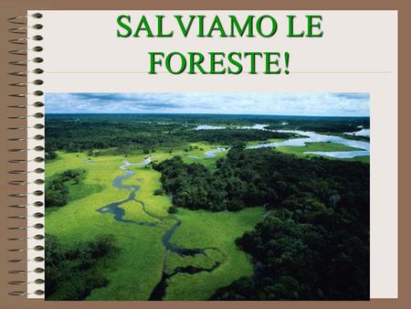 SALVIAMO LE FORESTE!.