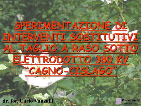 SPERIMENTAZIONE DI INTERVENTI SOSTITUTIVI AL TAGLIO A RASO SOTTO ELETTRODOTTO 380 KV CAGNO-CISLAGO dr. for. Carlo Vanzulli.