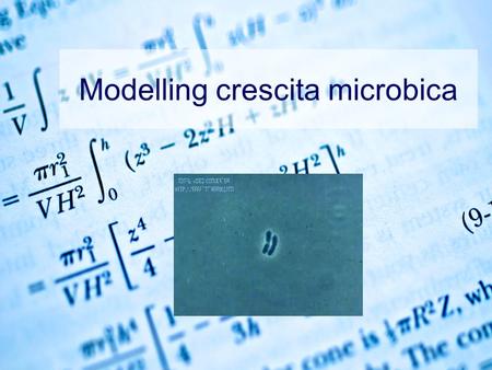 Modelling crescita microbica