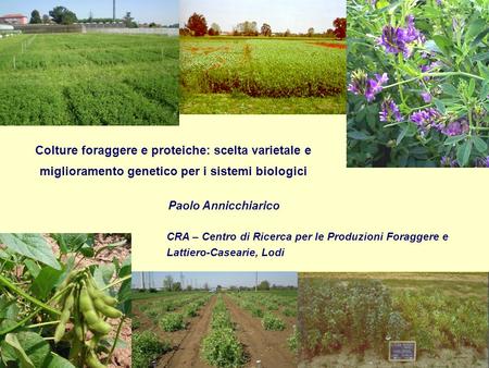 Colture foraggere e proteiche: scelta varietale e miglioramento genetico per i sistemi biologici Paolo Annicchiarico CRA – Centro di Ricerca per le Produzioni.