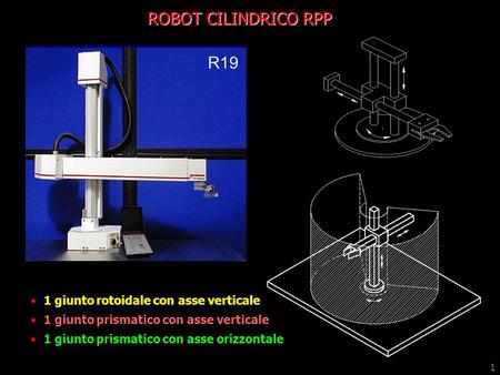 ROBOT CILINDRICO RPP R19 1 giunto rotoidale con asse verticale
