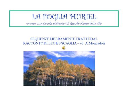 SEQUENZE LIBERAMENTE TRATTE DAL RACCONTO DI LEO BUSCAGLIA – ed. A
