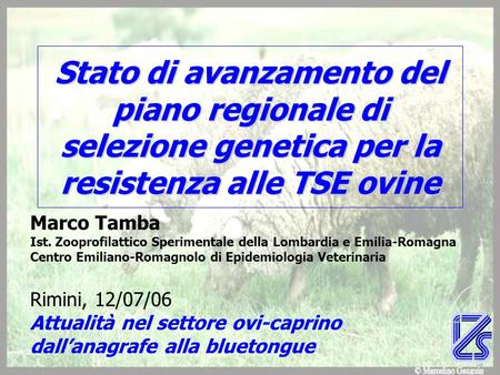 Stato di avanzamento del piano regionale di selezione genetica per la resistenza alle TSE ovine Marco Tamba Ist. Zooprofilattico Sperimentale della Lombardia.