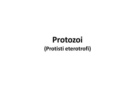 Protozoi (Protisti eterotrofi)