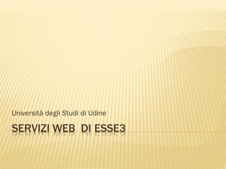 Università degli Studi di Udine. Processo di gestione appelli desame Definizioni terminologiche Casi di studio esemplificativi Riferimenti per il supporto.