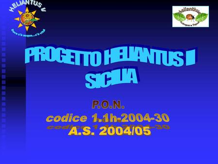 PROGETTO HELIANTUS II SICILIA P.O.N. codice 1.1h A.S. 2004/05