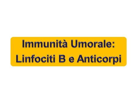 Linfociti B e Anticorpi
