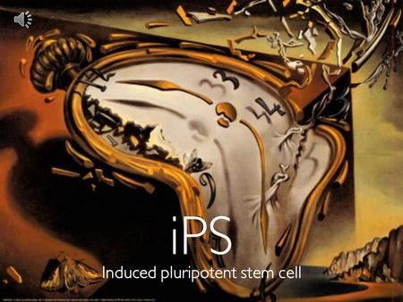 Induced pluripotent stem cell