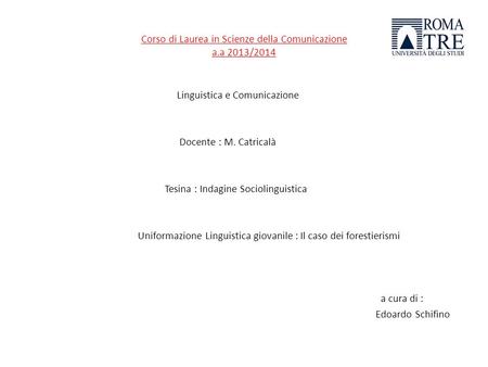 Corso di Laurea in Scienze della Comunicazione a.a 2013/2014