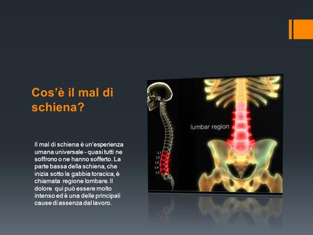 Cos’è il mal di schiena? Il mal di schiena è un'esperienza umana universale - quasi tutti ne soffrono o ne hanno sofferto. La parte bassa della schiena,