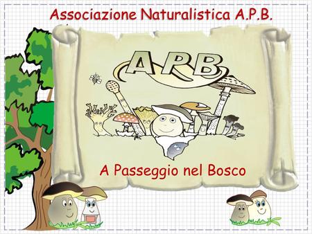 Associazione Naturalistica A.P.B.