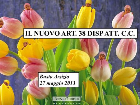 IL NUOVO ART. 38 DISP ATT. C.C. Busto Arsizio 27 maggio 2013.