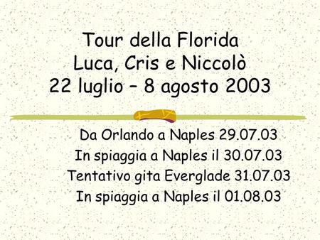 Tour della Florida Luca, Cris e Niccolò 22 luglio – 8 agosto 2003 Da Orlando a Naples 29.07.03 In spiaggia a Naples il 30.07.03 Tentativo gita Everglade.