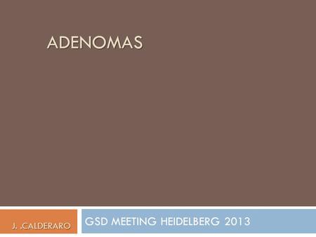 GSD MEETING HEIDELBERG 2013