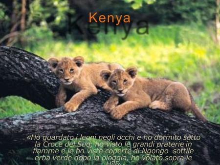 Kenya «Ho guardato i leoni negli occhi e ho dormito sotto la Croce del Sud, ho visto le grandi praterie in fiamme e le ho viste coperte di Ngongo sottile.