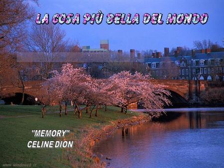 MEMORY CELINE DION.