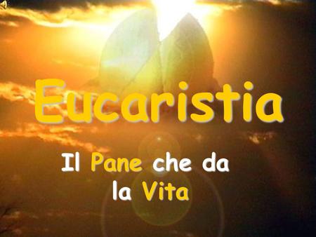 Eucaristia Il Pane che da la Vita.