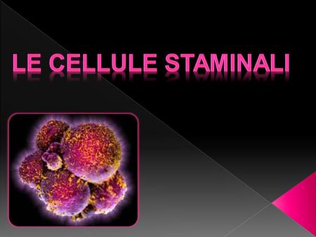 Le cellule staminali.