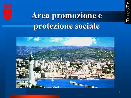 1 Area promozione e protezione sociale. I PIANI DI ZONA Il processo che i Comuni della provincia di Trieste si apprestano ad avviare, finalizzato alla.