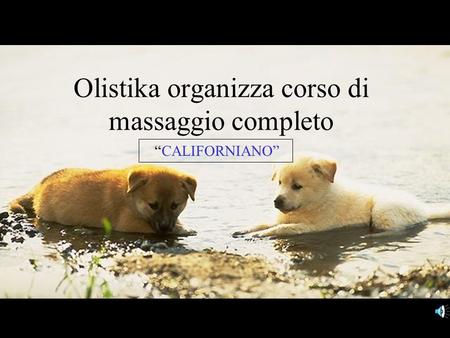 Olistika organizza corso di massaggio completo CALIFORNIANO.