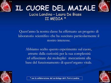 IL CUORE DEL MAIALE Lucia Landino – Laura De Biase II MEDIA *