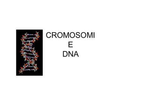 CROMOSOMI E DNA.