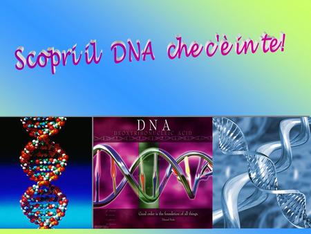 Scopri il DNA che c'è in te!