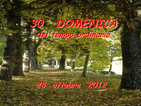 30 DOMENICA del tempo ordinario 28 ottobre 2012.