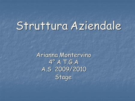 Struttura Aziendale Arianna Montervino 4° A T.G.A A.S 2009/2010 Stage.